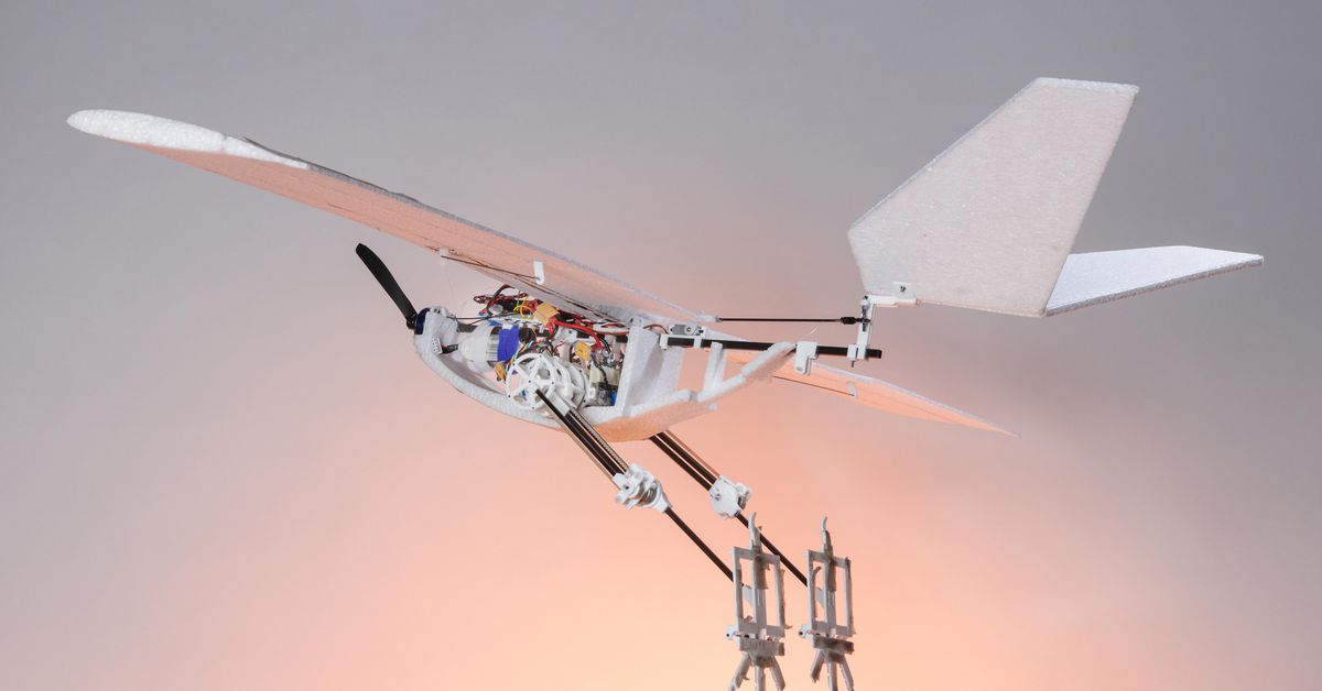 Bird-Legged Drones Revolutionize Takeoff and Landing