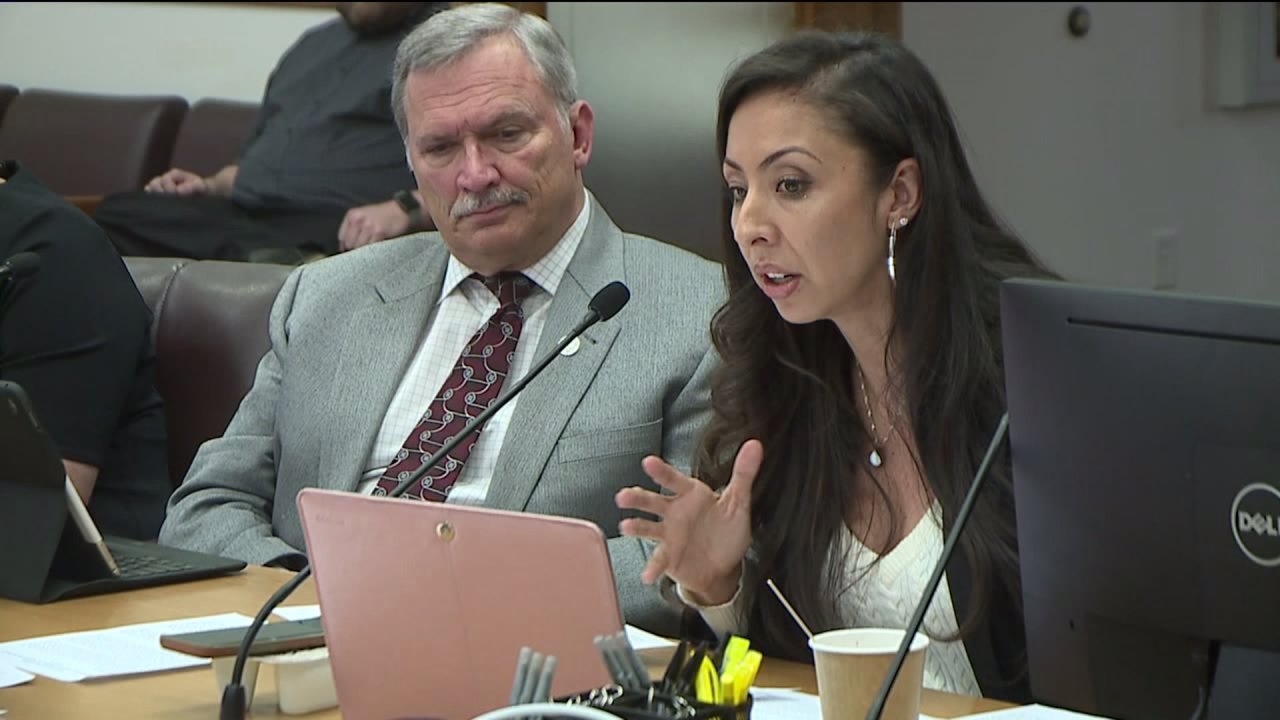 Denver's Mayoral Election: Watson's Landslide Loss to Johnston and the Challenges Ahead.