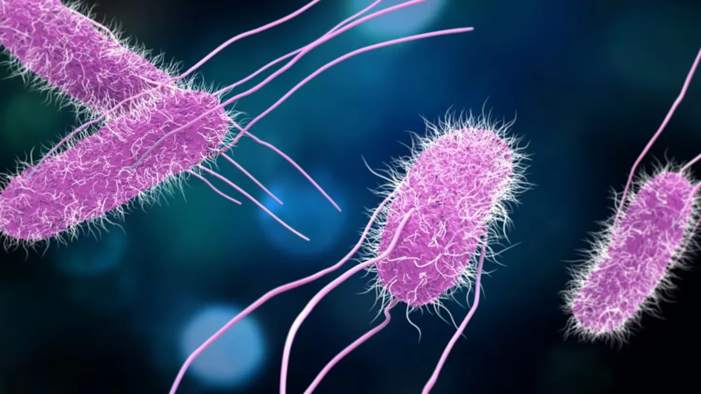 "Salmonella Outbreak in King County: 2 Hospitalized, 4 Sickened"