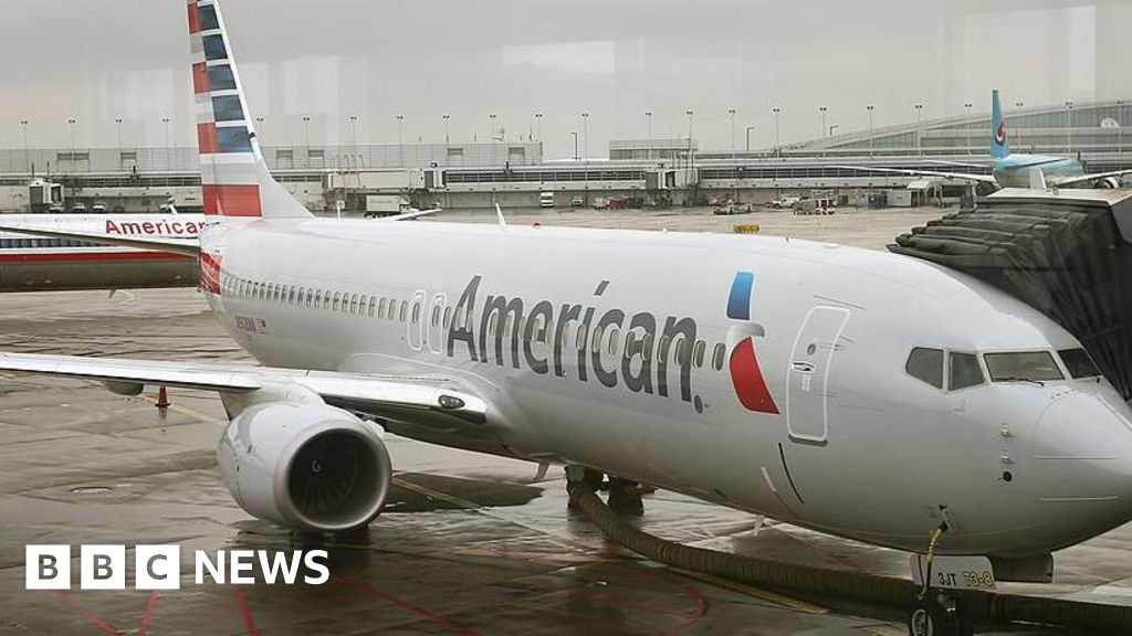 American Airlines CEO Apologizes and Promises Action After Racist Incident