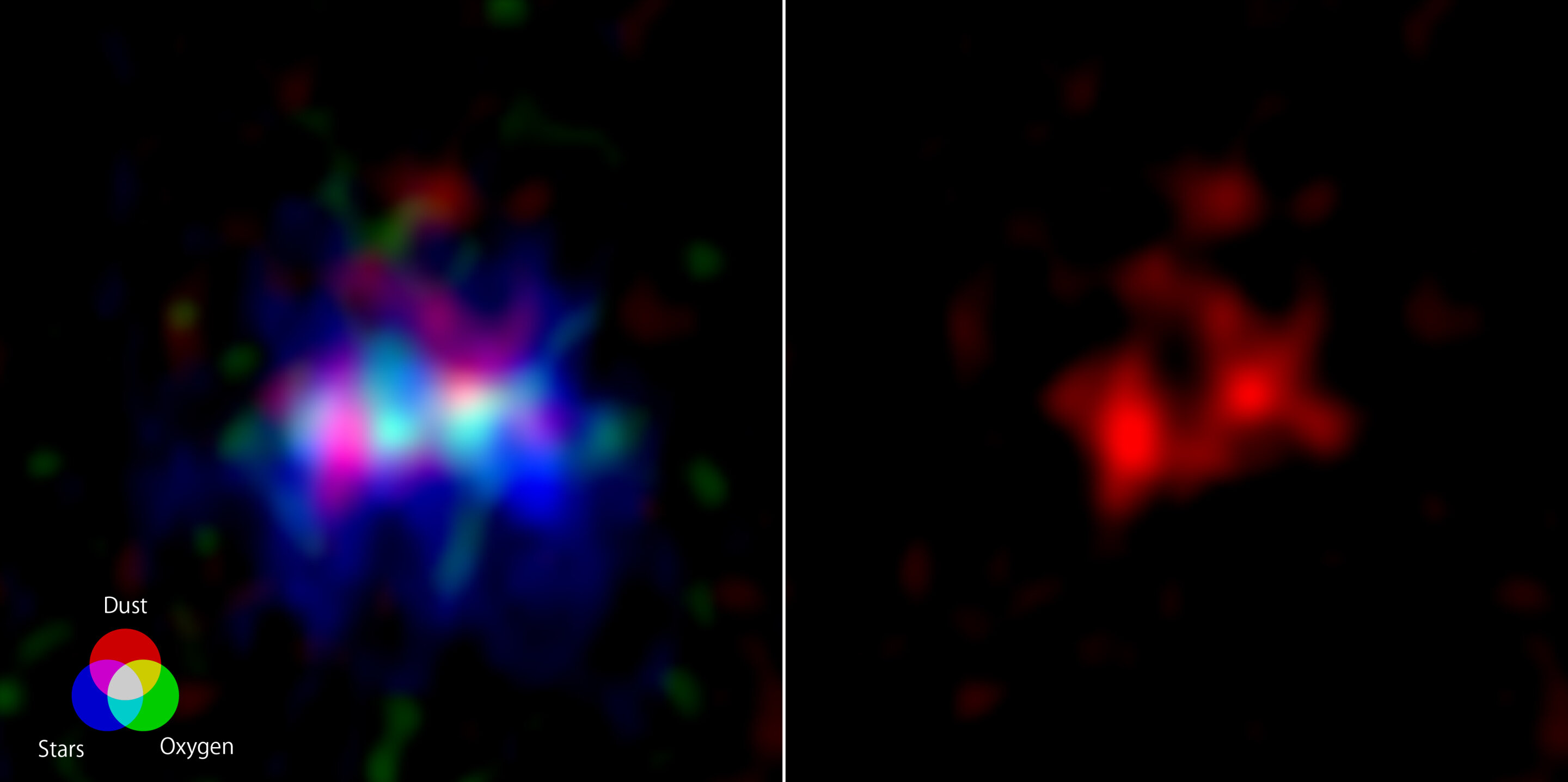 "Unveiling Cosmic Nurseries and Tombs in Distant Galaxies"