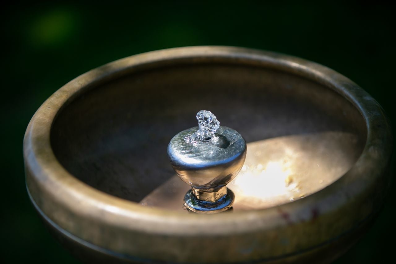 Featured image for Rising Heat Claims Another Life in Portland