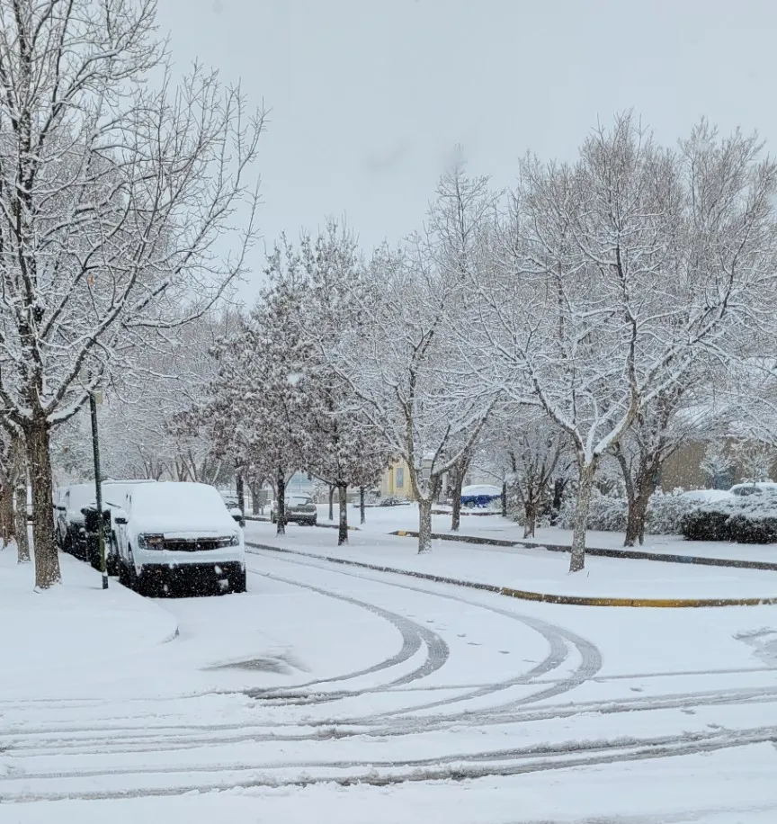 Featured image for "Winter Storm Prompts Closures and Cancellations Across New Mexico Metro"