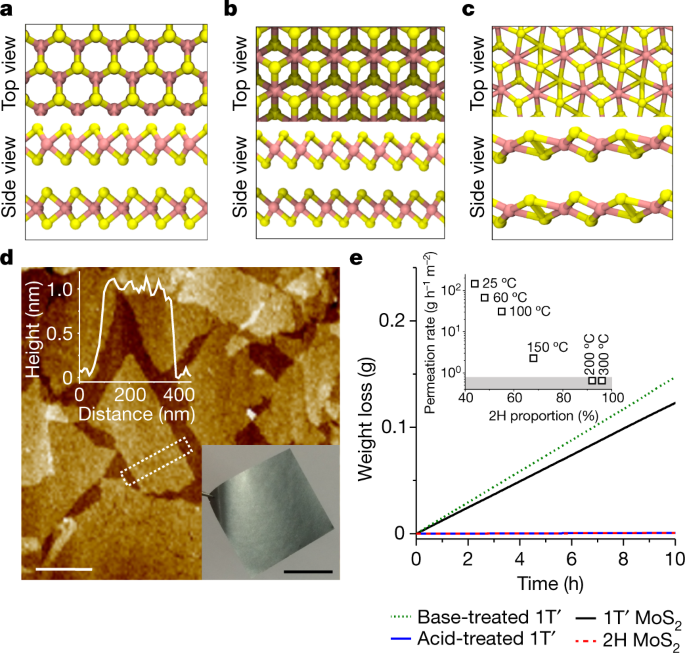 Featured image for MoS2 membranes exhibit pH-dependent water permeability switching with memory.