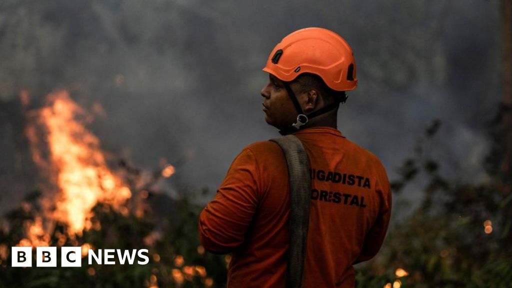 Declining Deforestation: Amazon Rainforest's Encouraging Trend