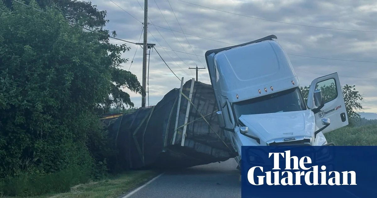 Featured image for Massive Honeybee Spill in Washington Sparks Rescue Efforts