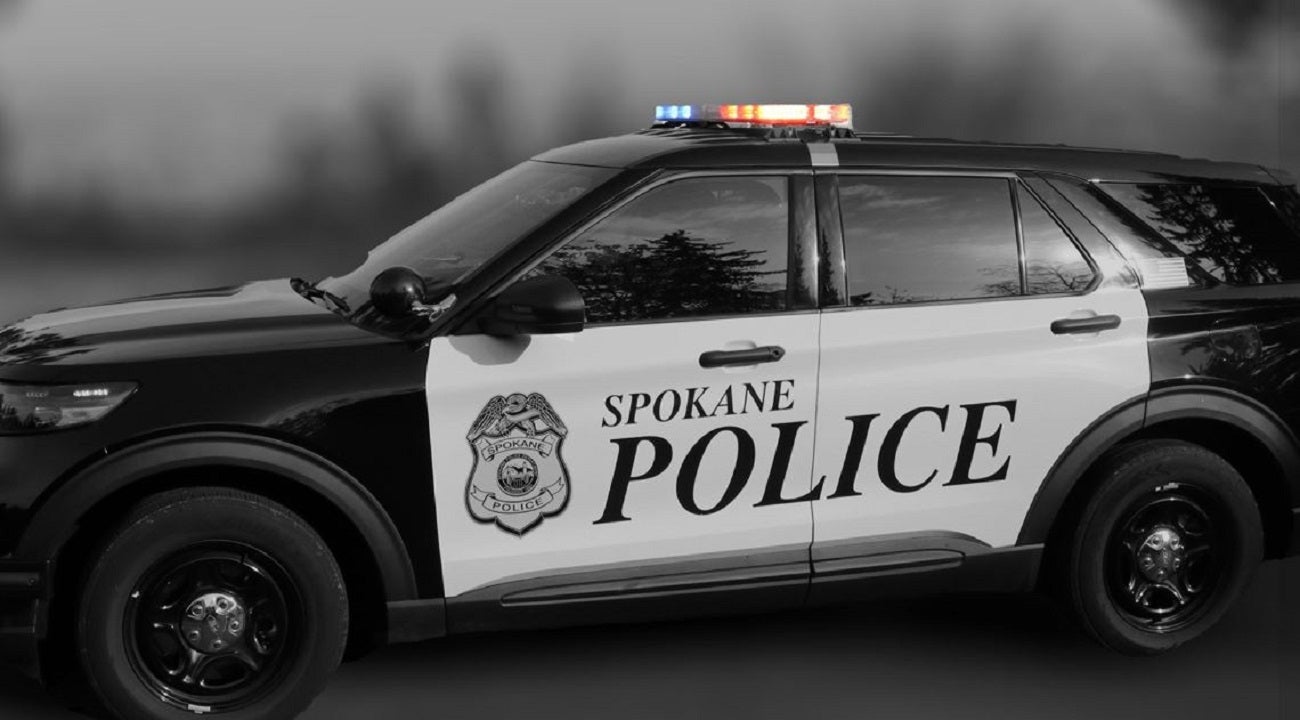 Featured image for Tragic Dog Attacks Claim Lives of Children in Washington and Texas