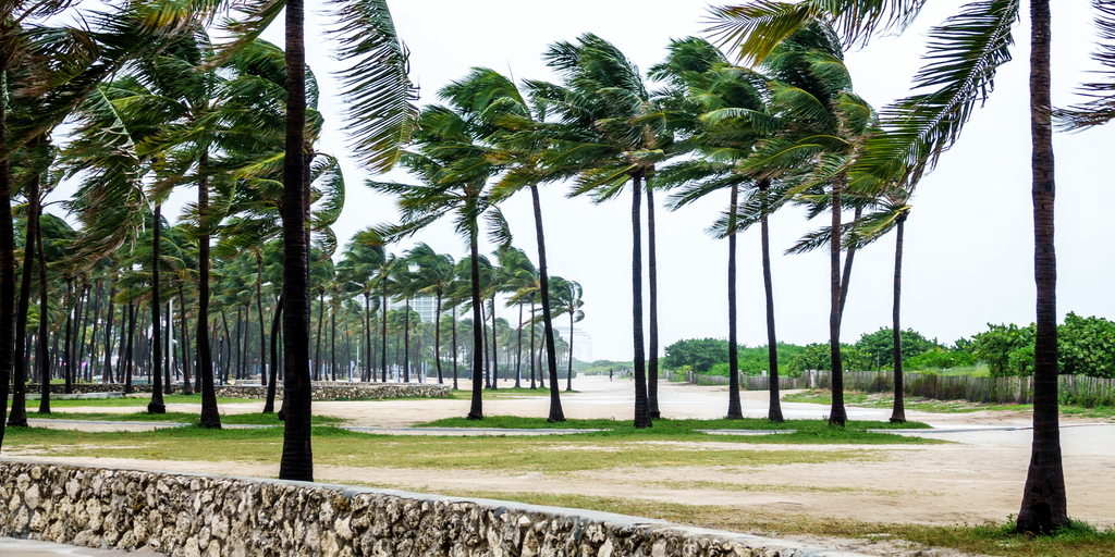 Impending Storm Threatens Florida with Heavy Rain and Severe Weather