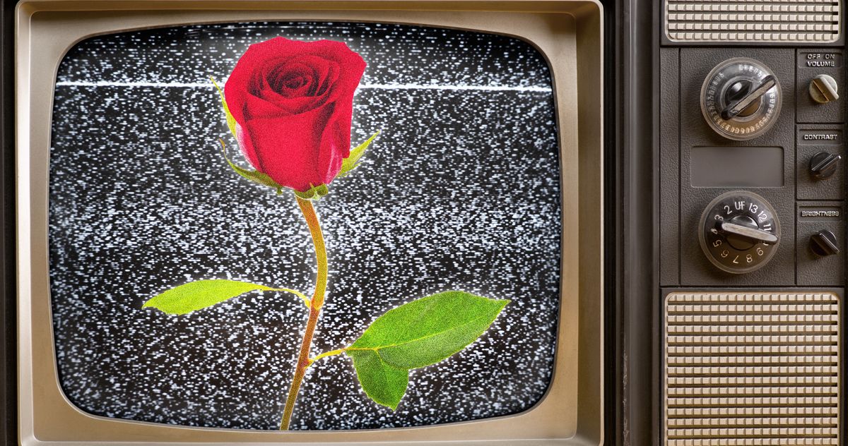The Bachelor's Zach Shallcross: Spoilers, Astrology, and Kissable Lips