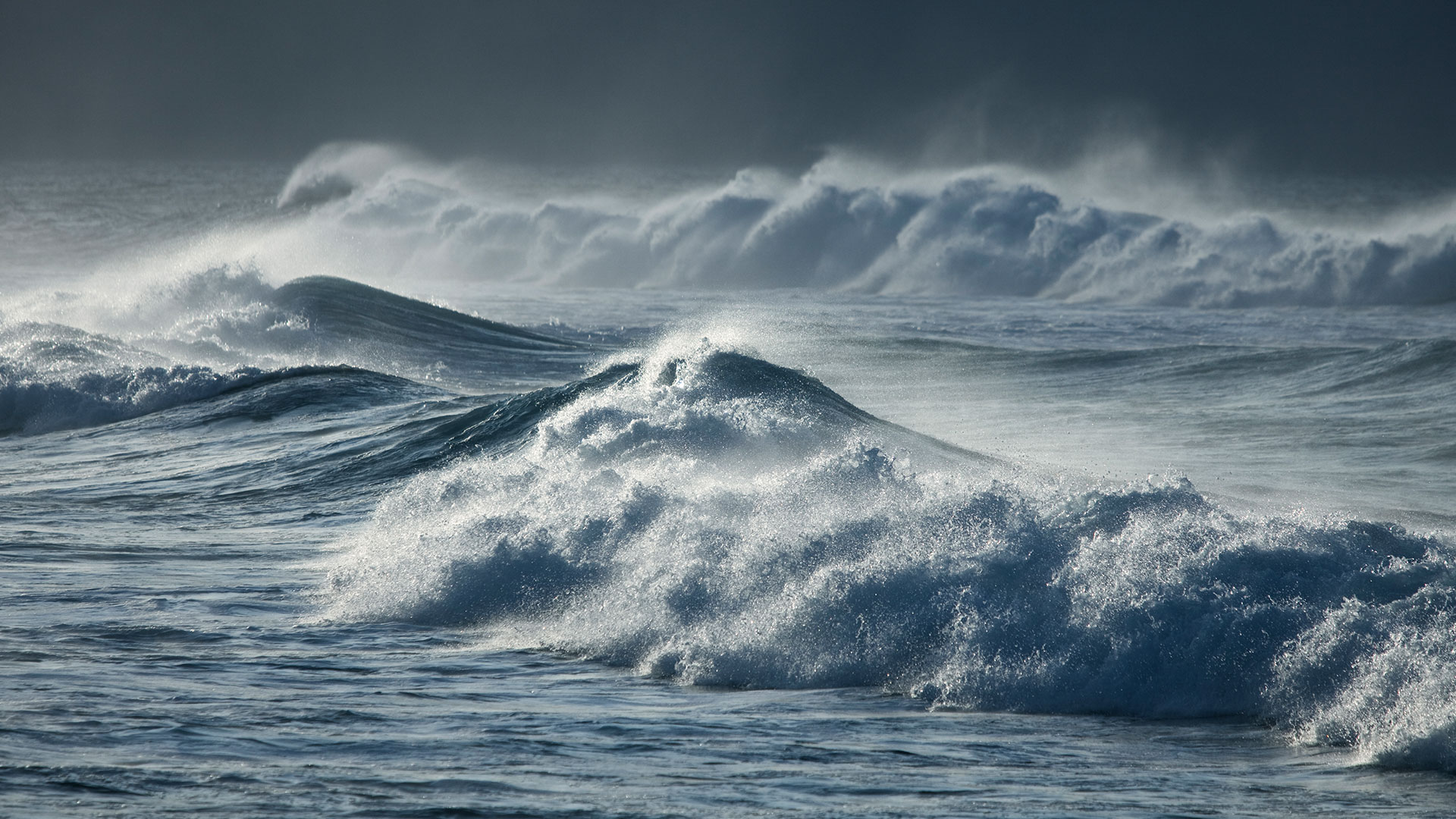 Featured image for "Rogue Wave AI Predicts Future 'Maritime Monsters' After Record-Breaking 58ft Wave"