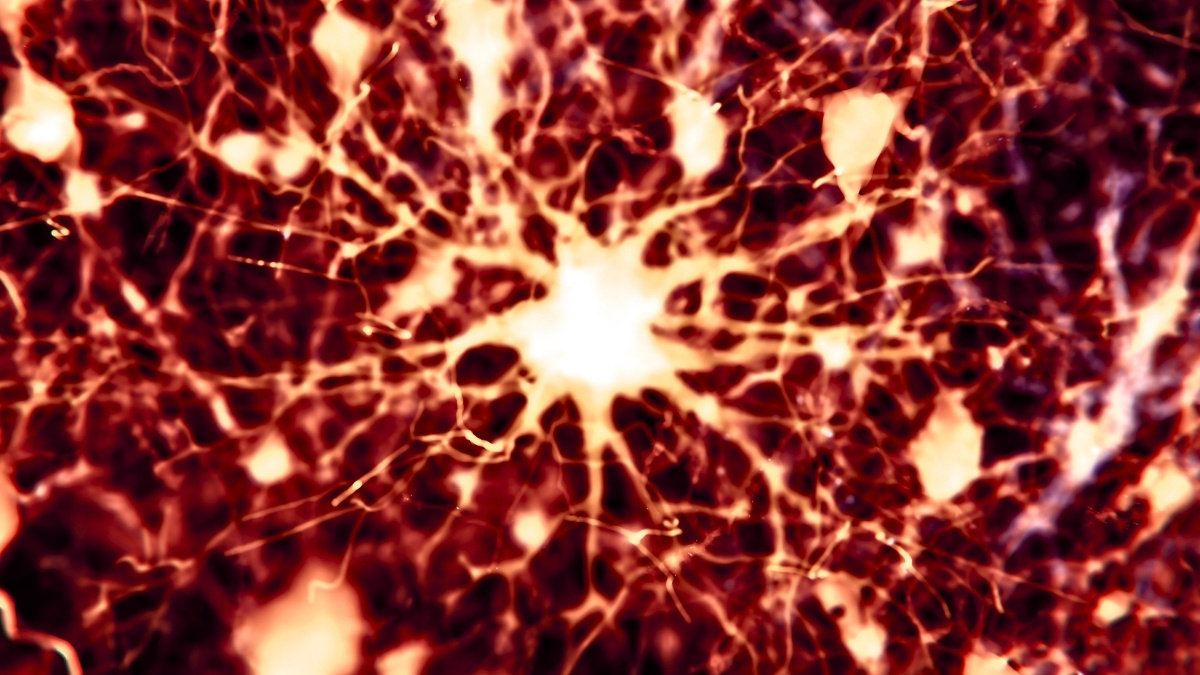 Featured image for Existing Drugs Show Promise in Reversing Alzheimer's Damage in Mice