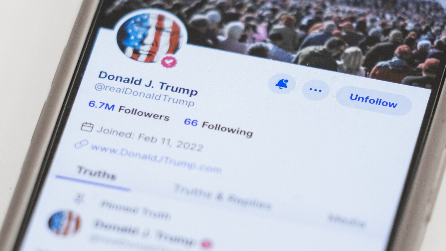 "Trump Media and Reddit: The Rise of Meme Stocks"