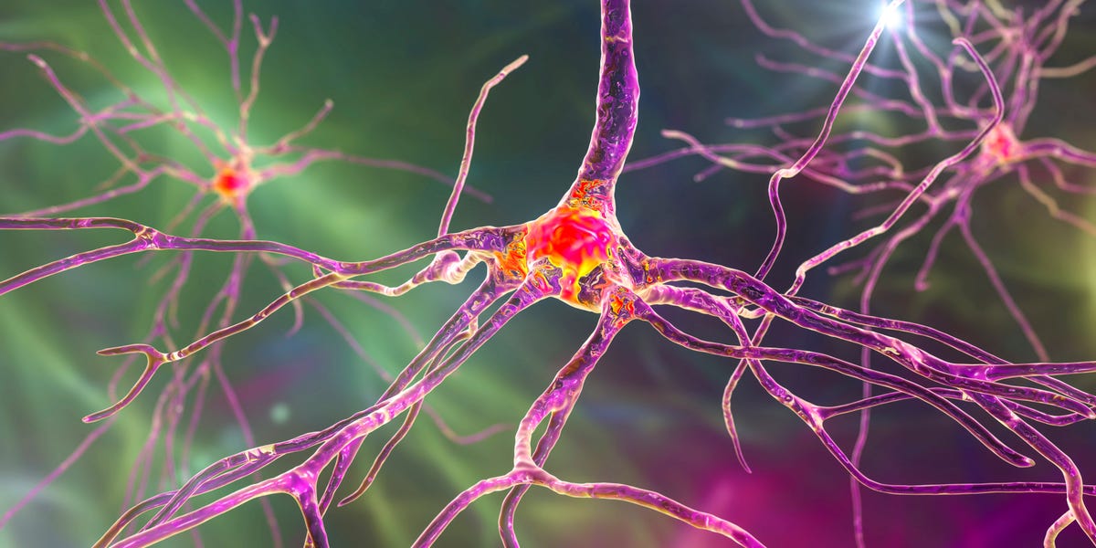 Featured image for Unveiling the Human Brain: Mapping 3,000+ Cells to Revolutionize Disease Treatment