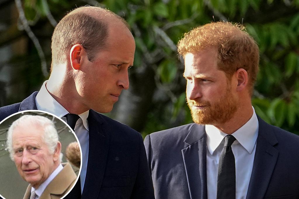 "Royal Expert: Prince William Blocks Harry's Return to Protect Kate Middleton"