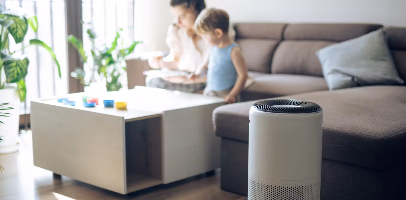 Featured image for Study Reveals Unknown Risks of Untested Air Cleaners