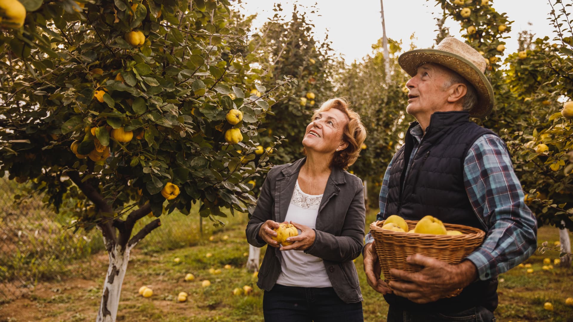 Social Security Quiz Stumps Majority of Near-Retirees