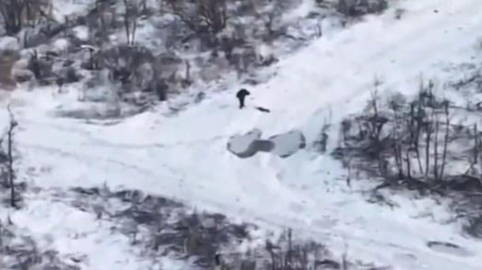 "Ukrainian Drones and Paratroopers: A Formidable Force Against Invaders"