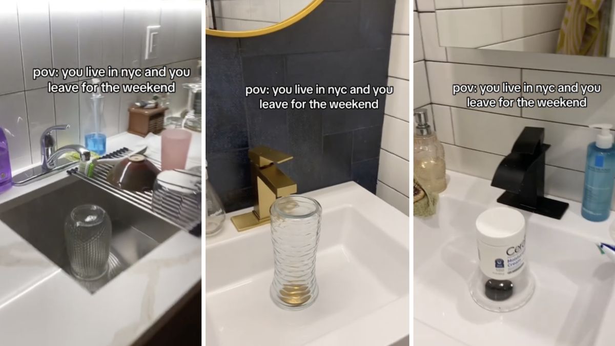 Featured image for "Viral TikTok reveals surprising cockroach entry method in NYC apartments"