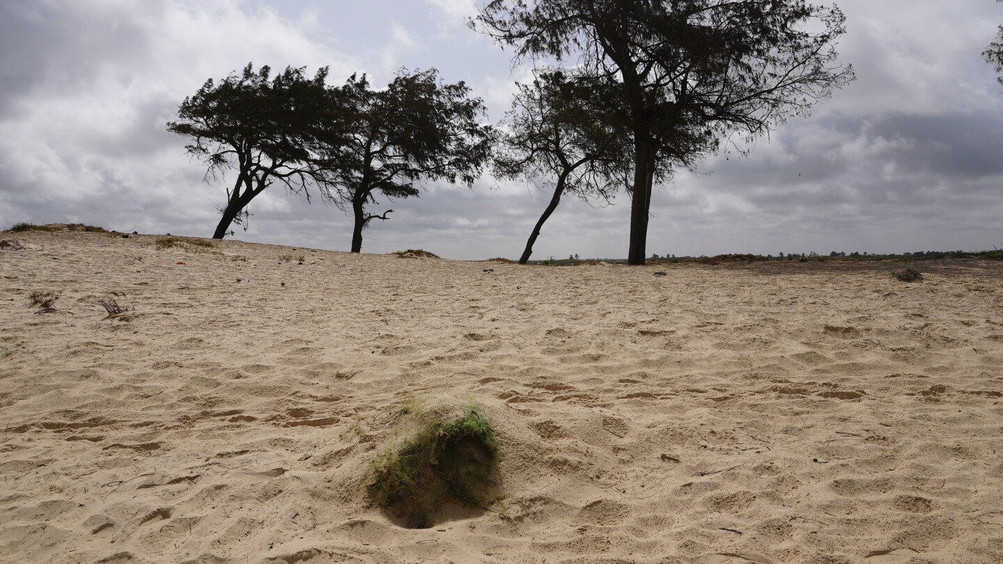 Unmarked Graves on Senegal's Beaches: The Tragic Fate of Missing Migrants