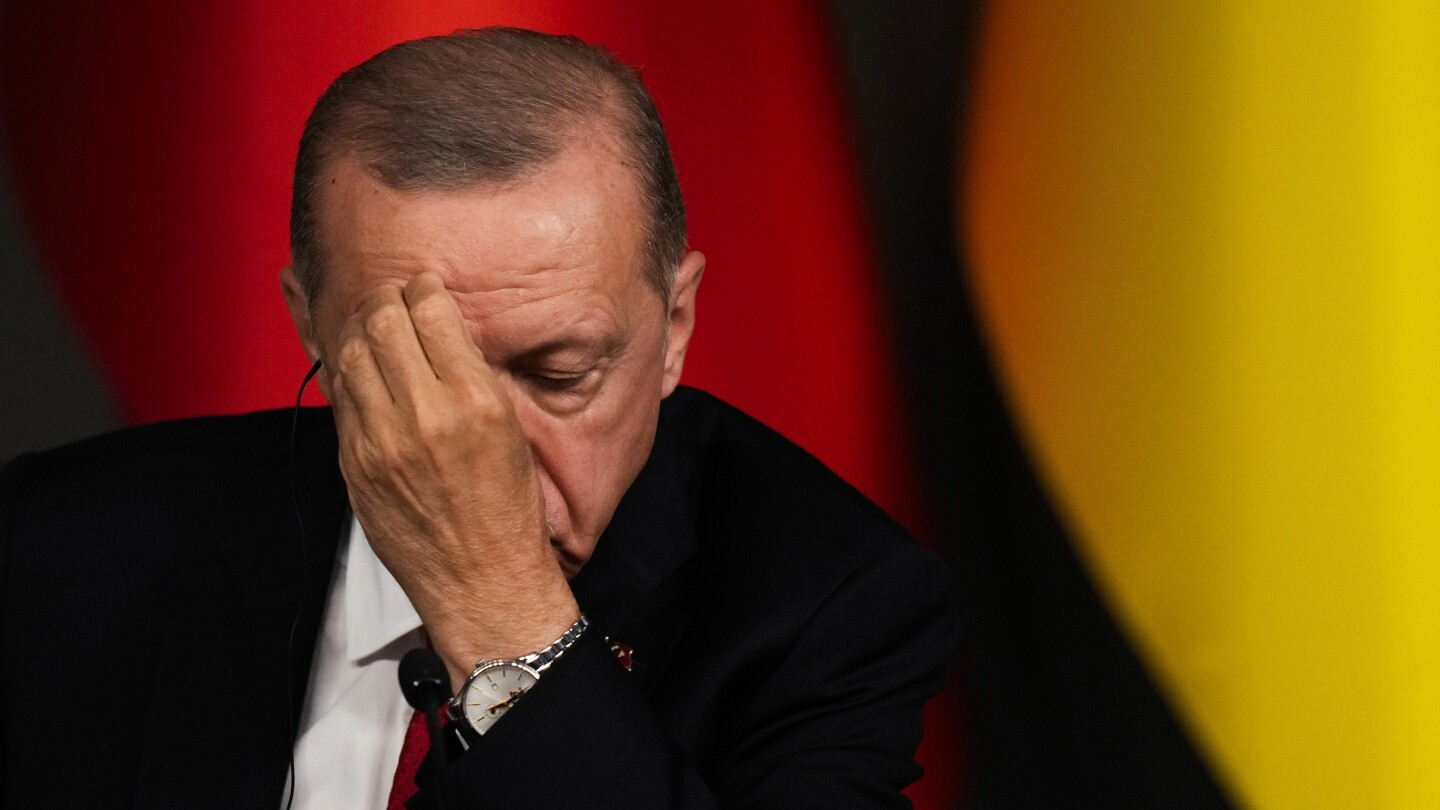 Turkey's Support for Sweden's NATO Entry: Security, EU Membership, and Biden's Big Win