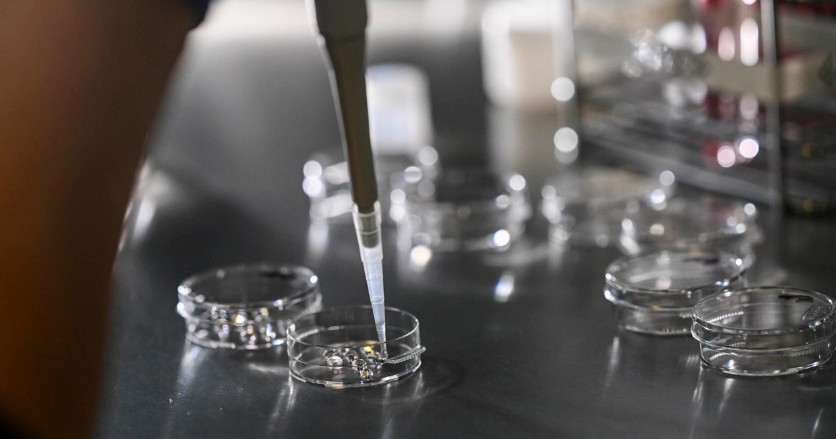 Featured image for "Embryo Freezing Urged After Alabama IVF Ruling Sparks Controversy"