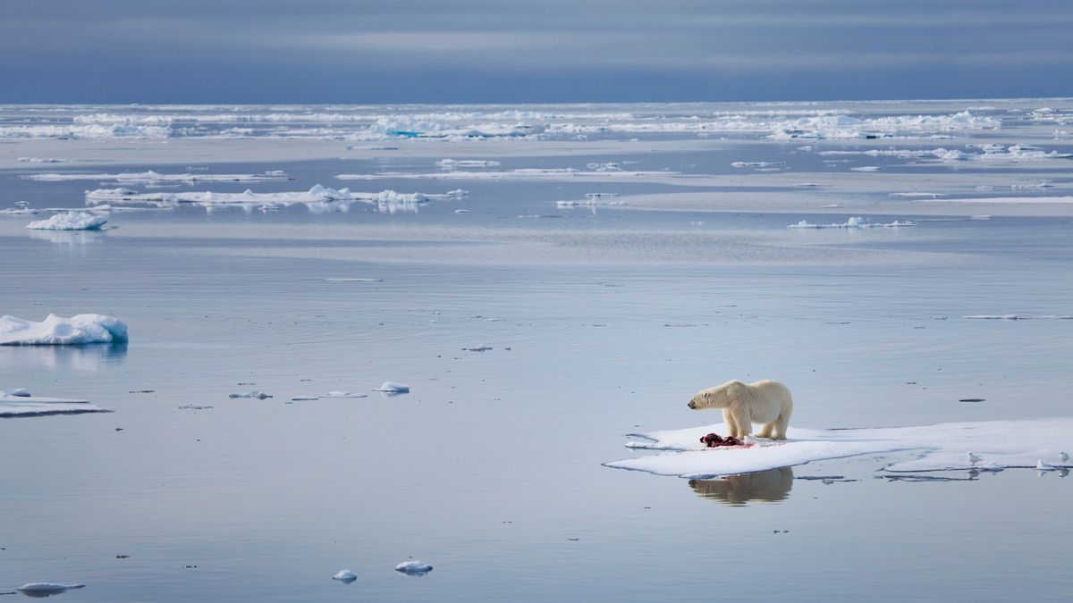 Featured image for Arctic Ocean May See First Ice-Free Day by 2026, Study Warns