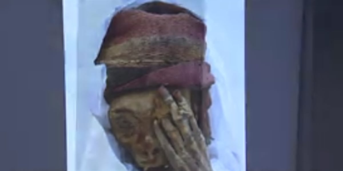 Featured image for "Ancient Mummies Reveal Heart Disease Predates Moses"