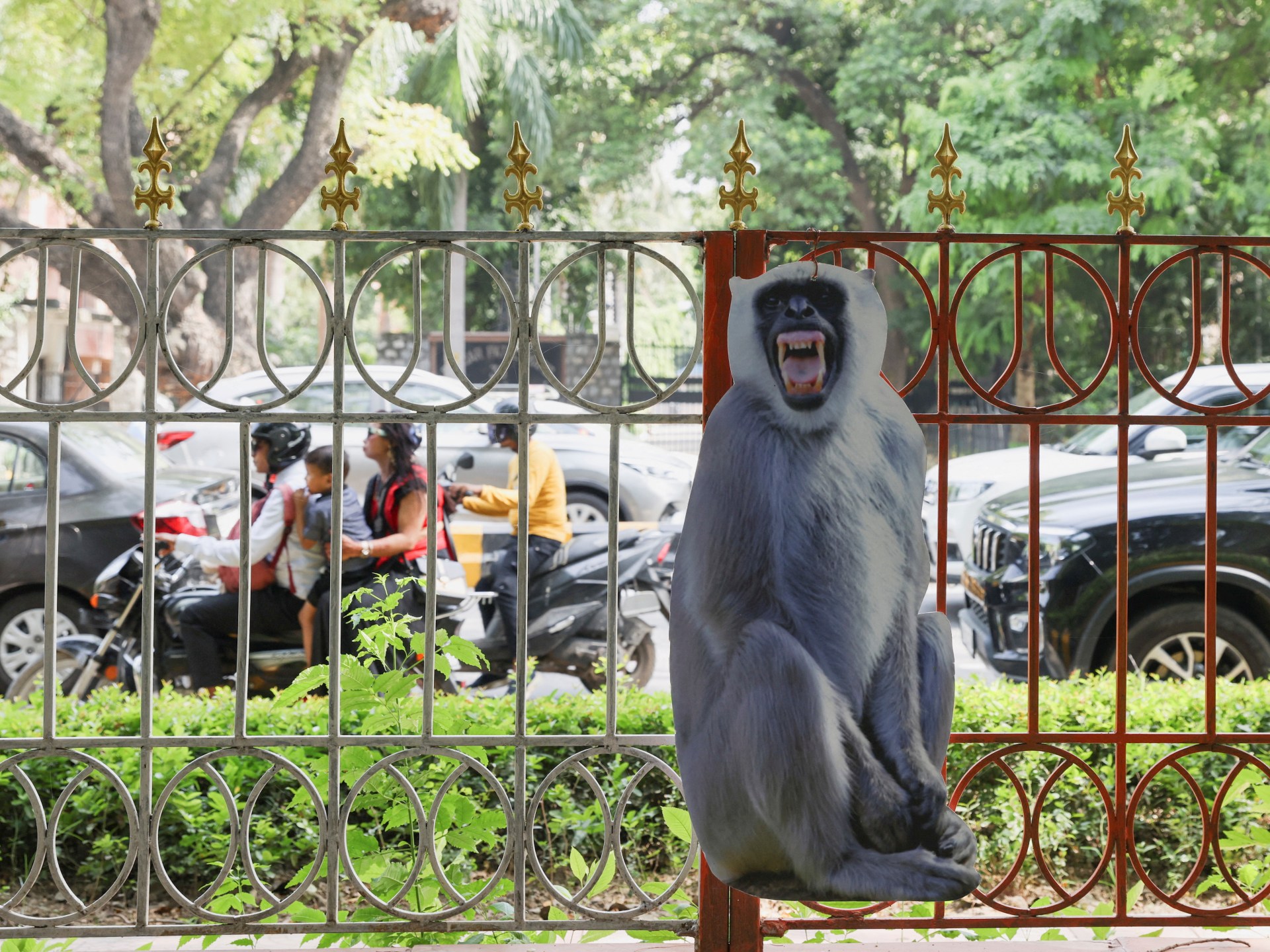 "India's Unique Solution: Life-Size Langur Cutouts Tackle Monkey Menace at G20 Summit"