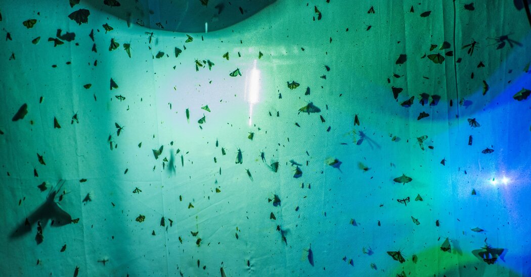 Featured image for "Attracting Trouble: Rethinking Common Sayings"