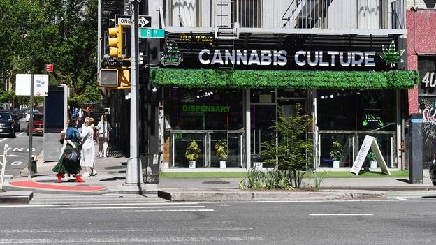 New York's Cannabis Boom Struggles with Rules and a Grey Market