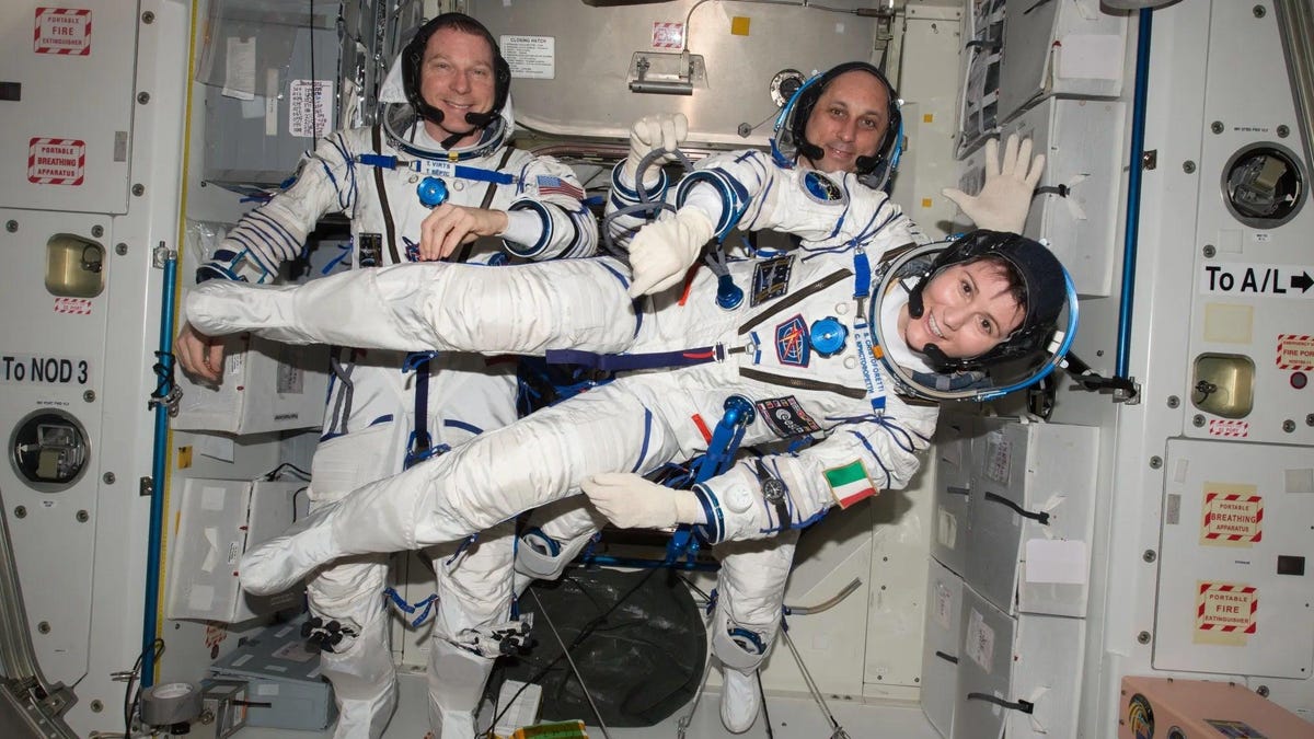 Featured image for "Trustworthy Wearable Tech: Astronauts' Solution to Space Disorientation"