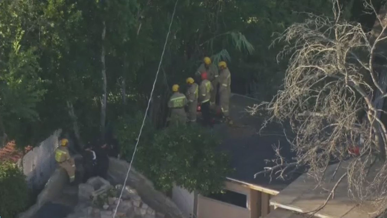 Gruesome Discovery: Missing Person's Remains Unearthed in LA Backyard