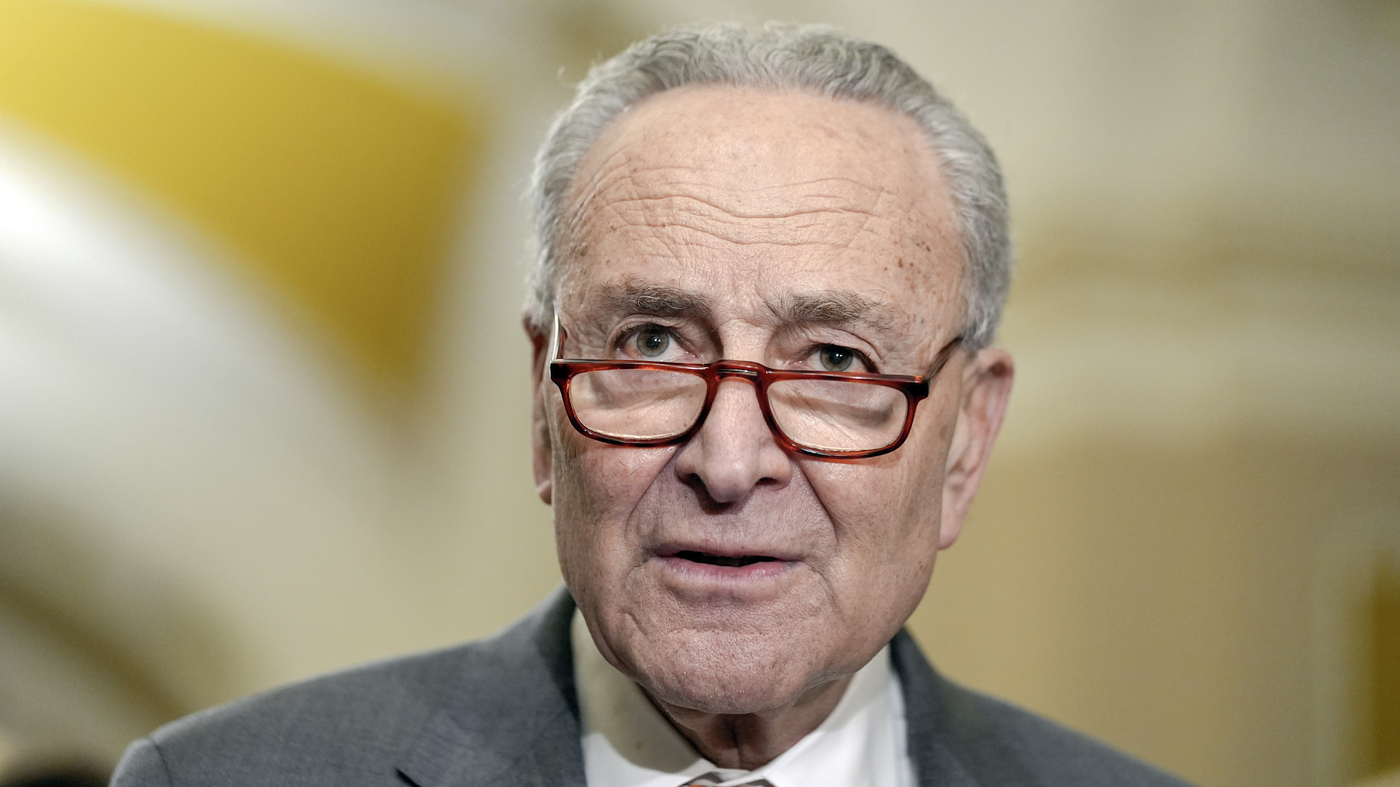 "Schumer Urges New Israel Election, Criticizes Netanyahu"