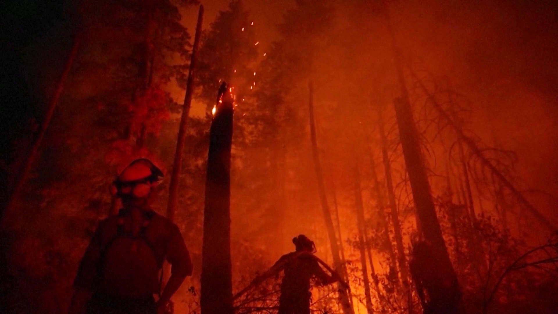 Canada's Unprecedented Wildfire Season Linked to Climate Change