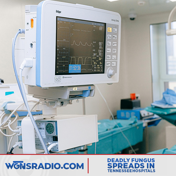 Featured image for Candida auris: The Global Superbug Spreading in US Hospitals