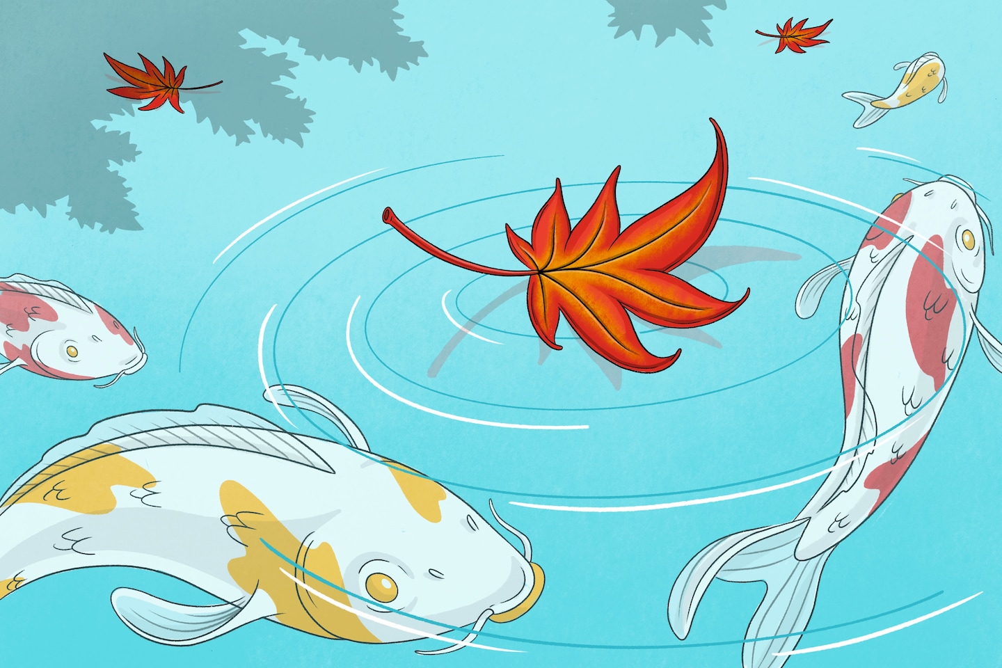 "Lessons in Resilience and Joy: Reflections on a Tough Year"
