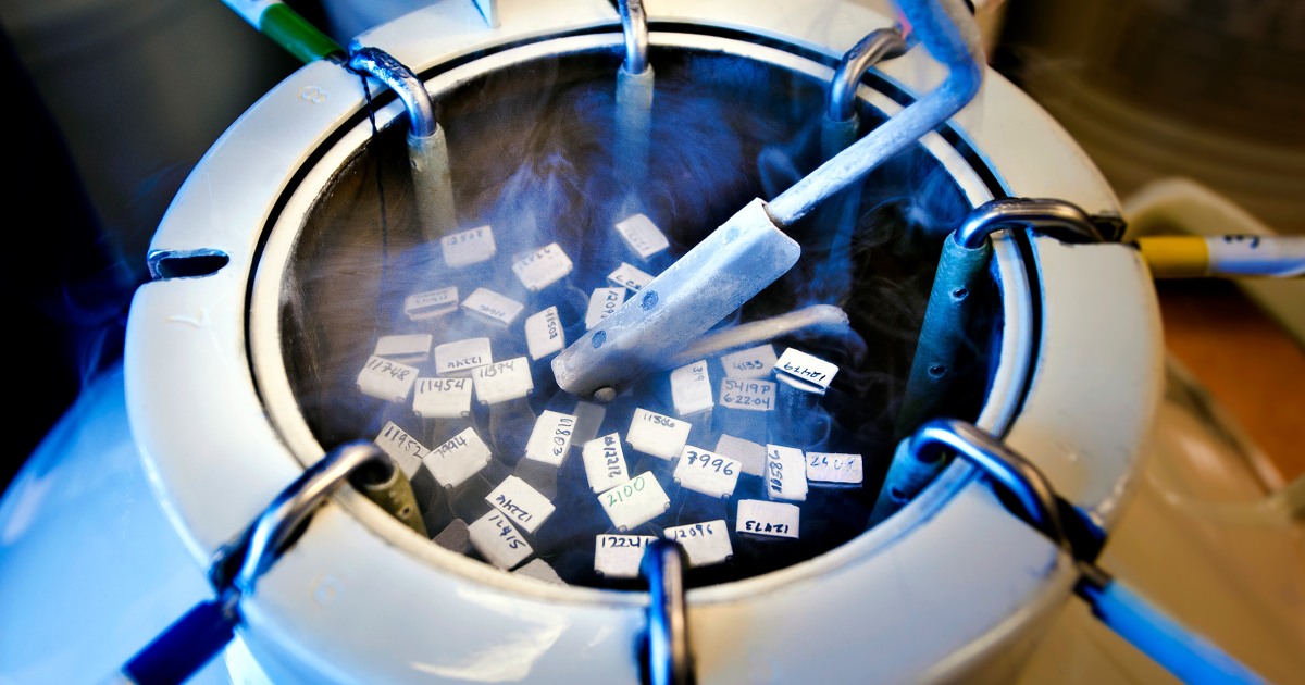 "Alabama's IVF Legislation: Navigating Fertility Services and Legal Protections"
