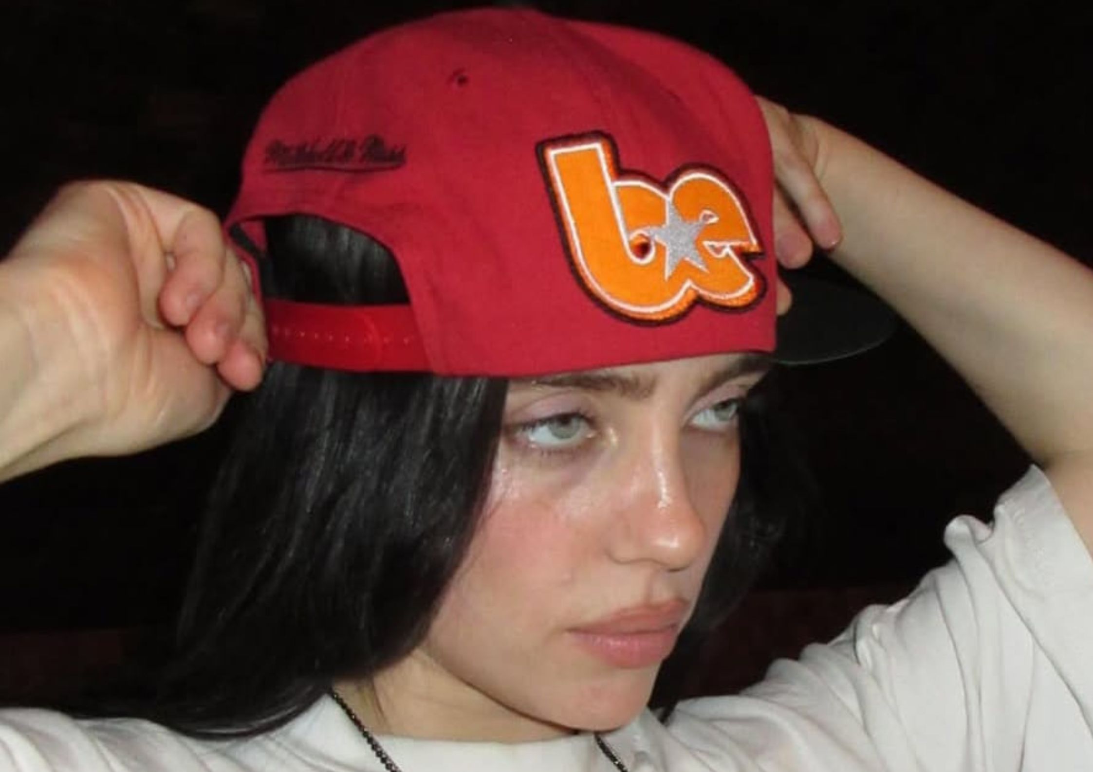 Featured image for Billie Eilish Is Pulled Into Crowd by Fan During Miami Concert