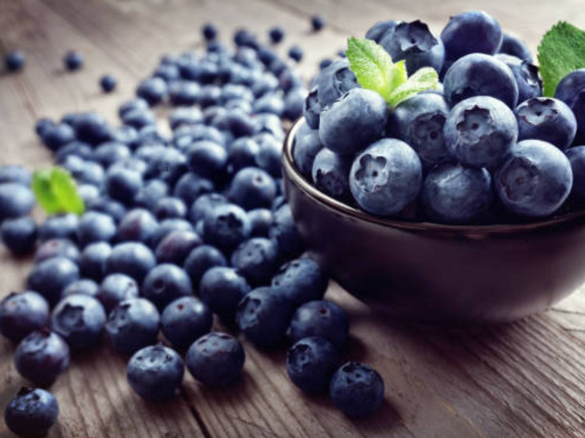Blueberries: A simple daily boost for brain health and disease prevention