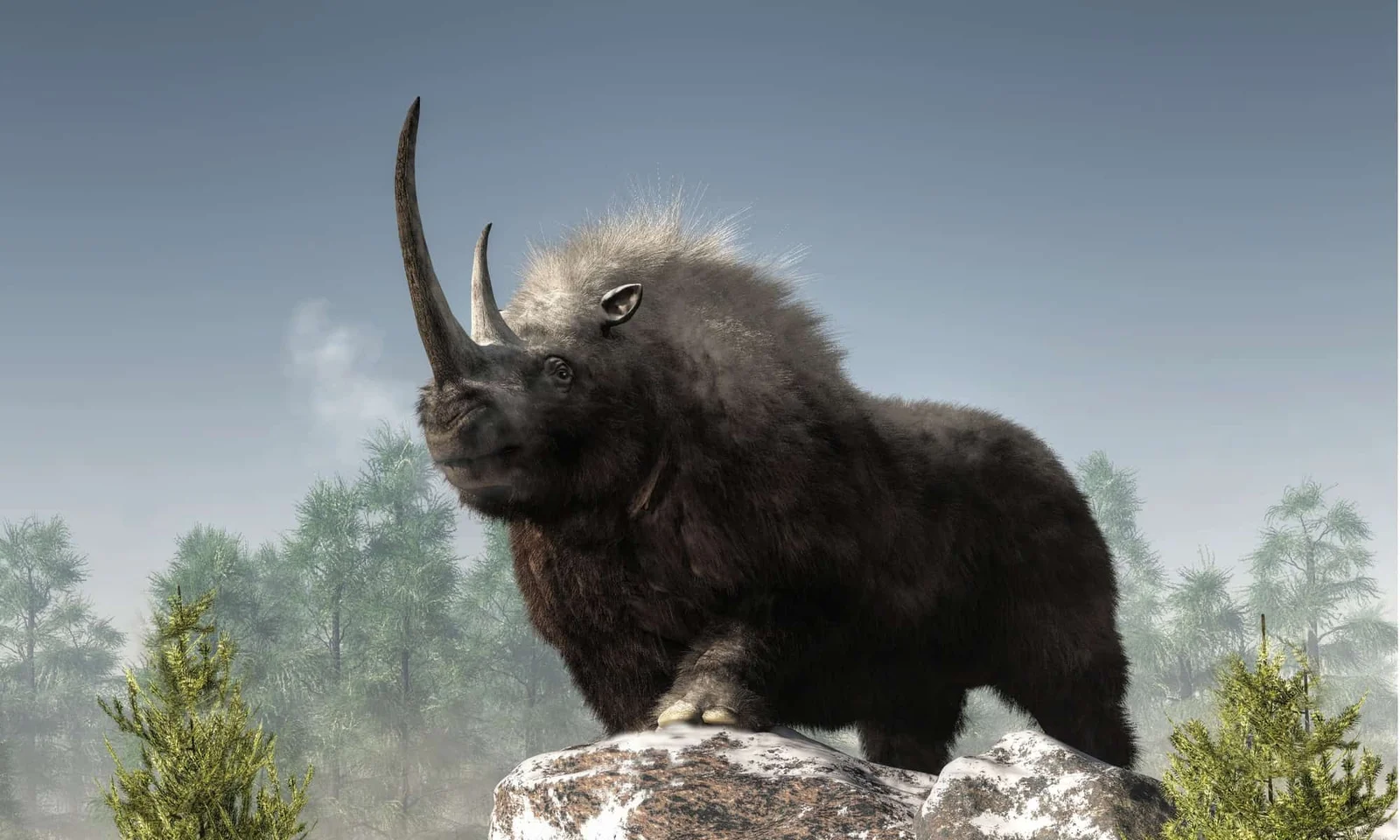 Ancient Wolf Pup Stomach Reveals Woolly Rhino Genome, Shifting Extinction Theory