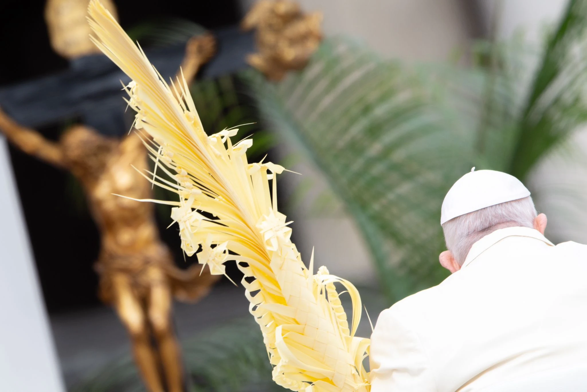 Pope Francis' Palm Sunday Presence Prevails Despite Health Concerns.