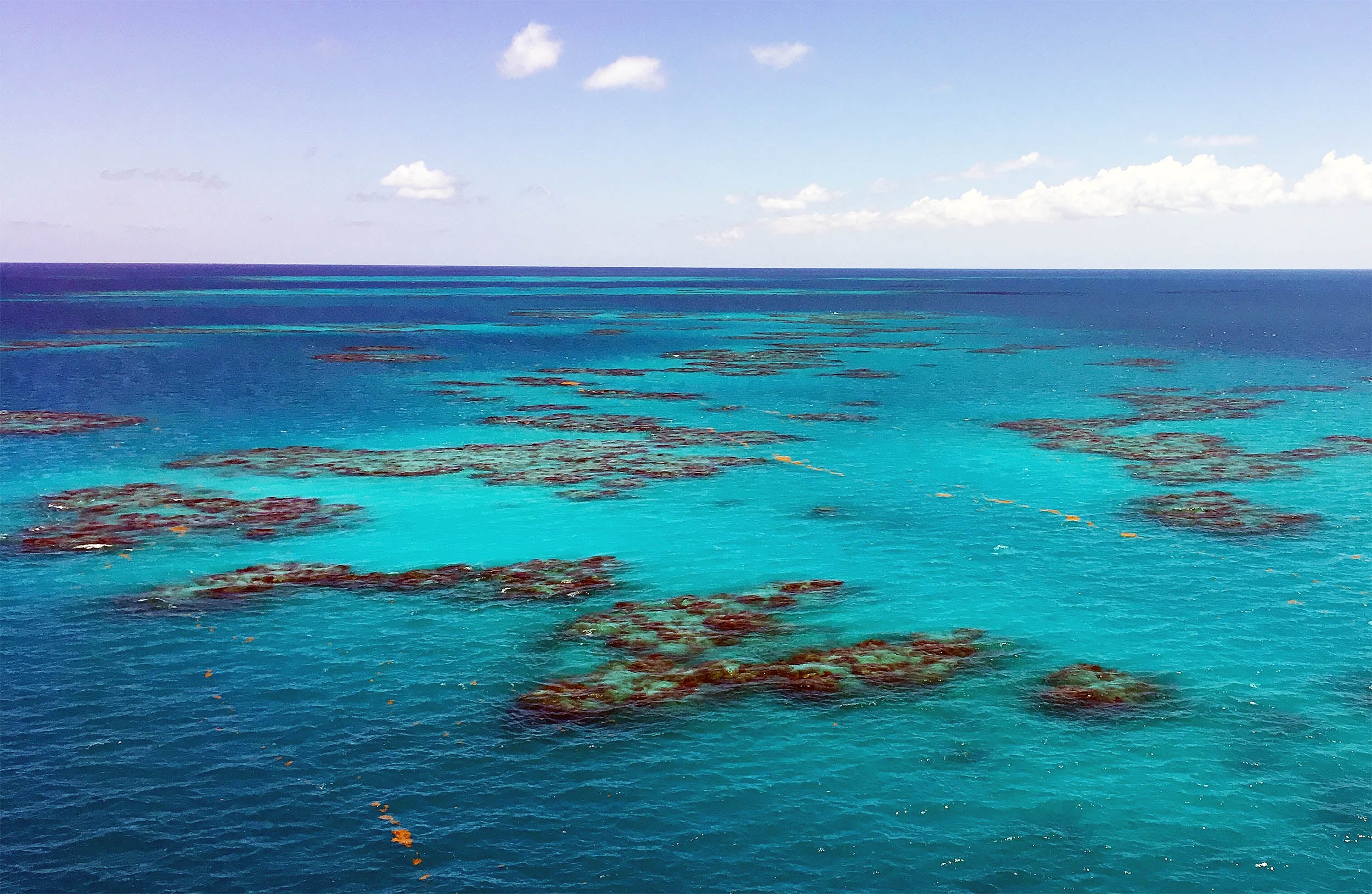 Featured image for The Earth's Only Shoreless Sea