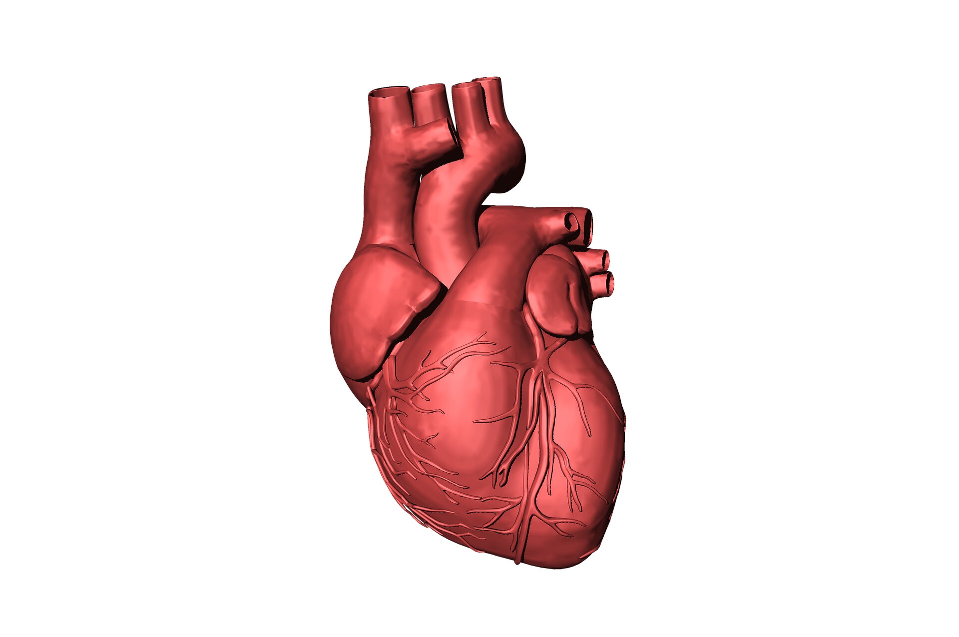 Study shows reversal of devastating heart condition.
