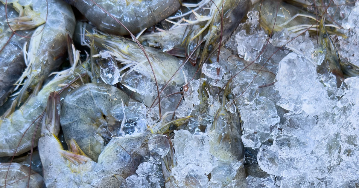 Featured image for Walmart Recalls Frozen Shrimp Over Radioactive Contamination Concerns