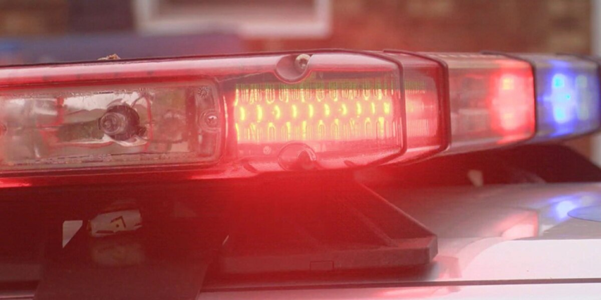 Police Investigate Downtown Charleston Incidents