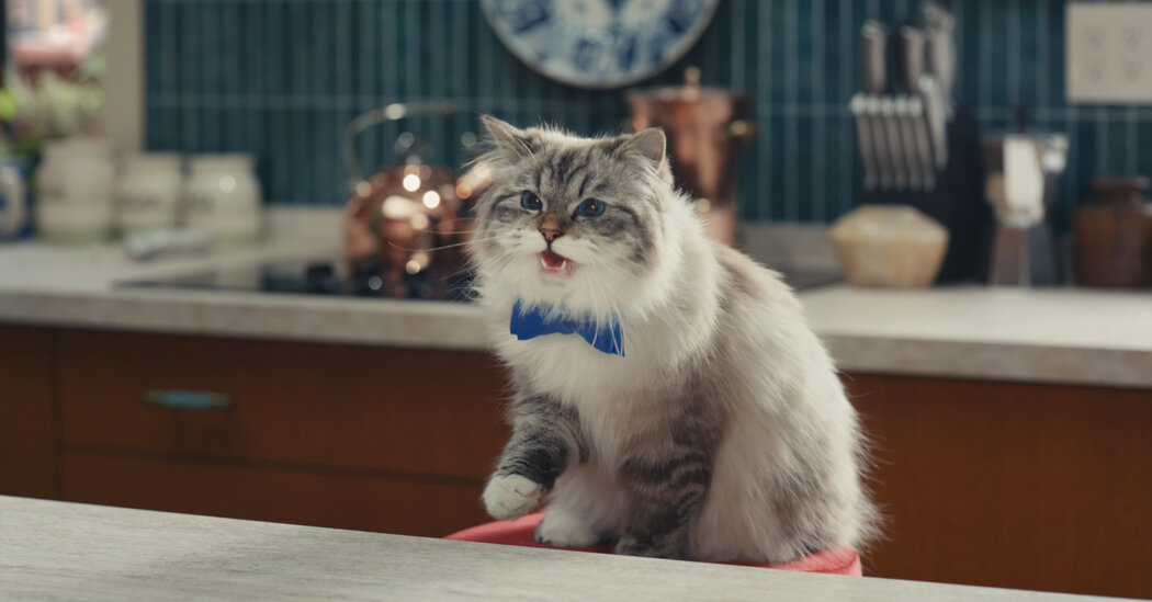 Featured image for "Super Bowl Ad Madness: The Cost, the Hype, and the Top 20 Commercials"