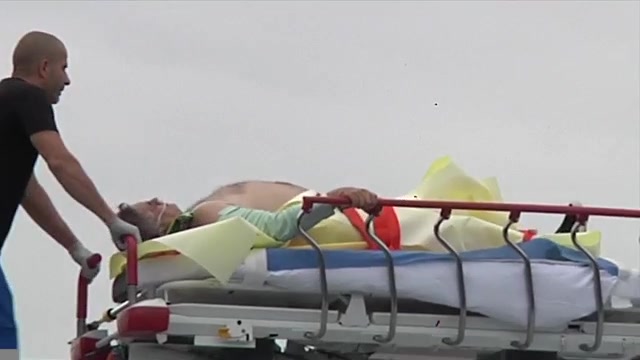 Featured image for "Everglades Alligator Attack: Man Airlifted to Safety After Bite"