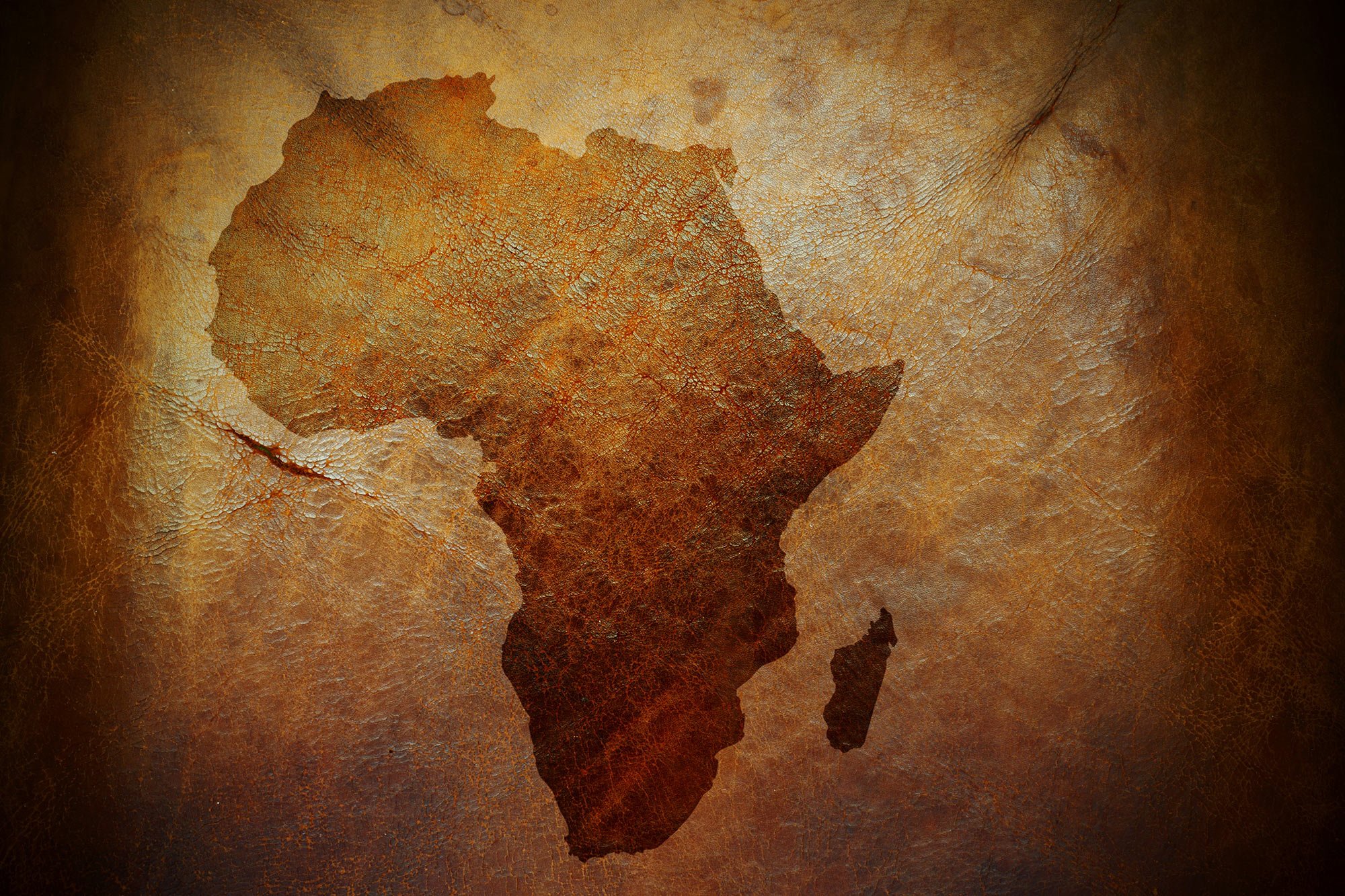 Ancient Africa's Rainy Climate Challenges Traditional Views of Human Origins