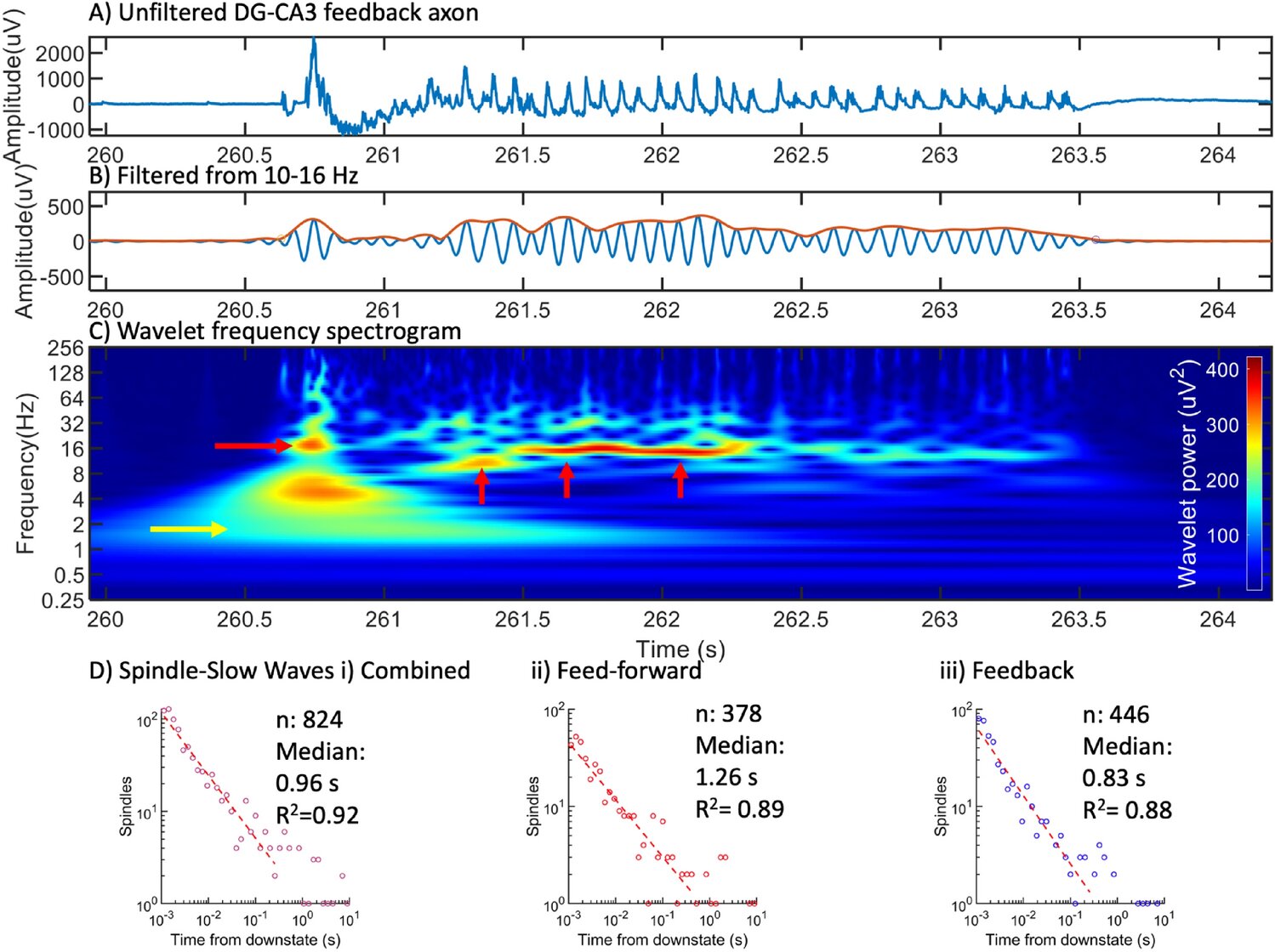 Featured image for "Uncovering the Source of Strong Deep Brain Waves During Sleep"