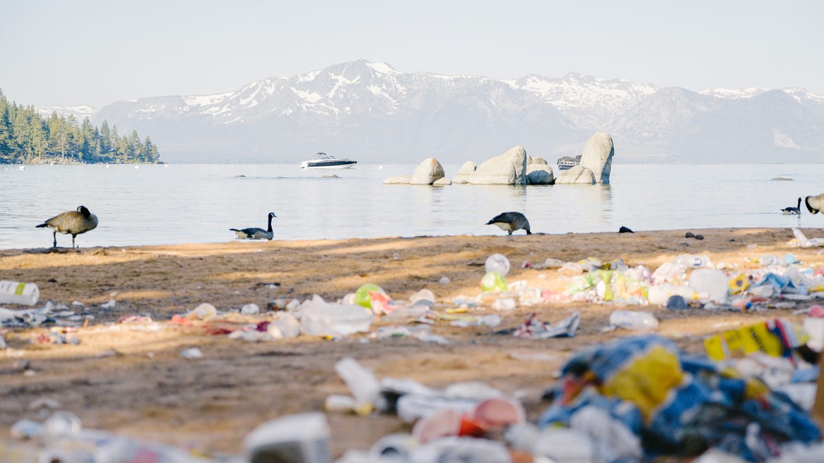 Featured image for Massive Cleanup Efforts Needed After July 4th Celebrations at Lake Tahoe